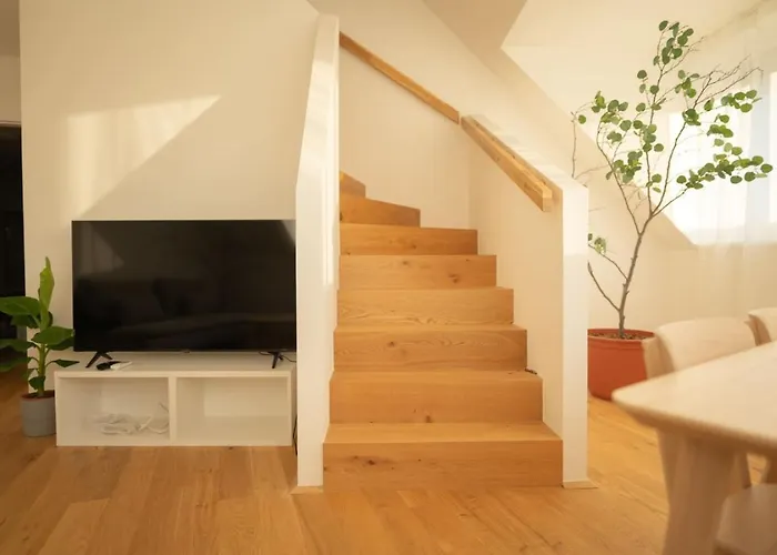 Penthouse With A Terrace Near Schonbrunn Palace Βιέννη