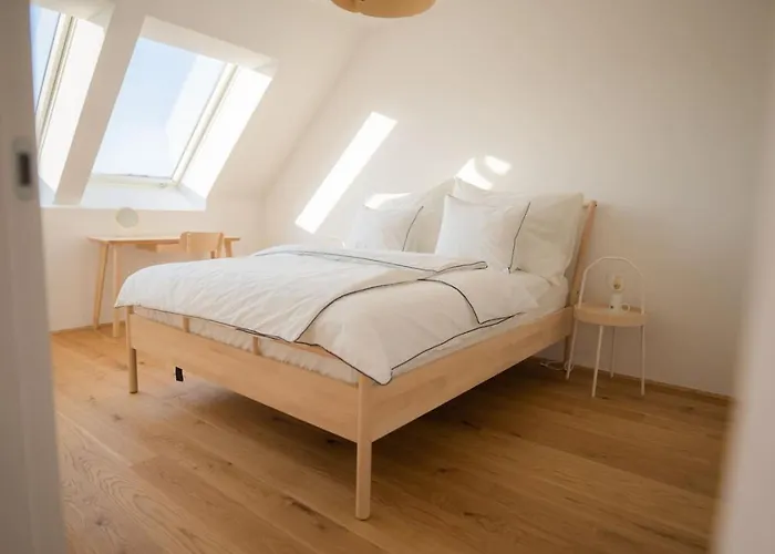 Penthouse With A Terrace Near Schonbrunn Palace Διαμέρισμα Βιέννη