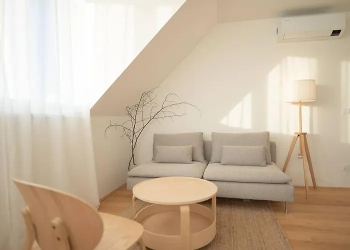 Penthouse With A Terrace Near Schonbrunn Palace